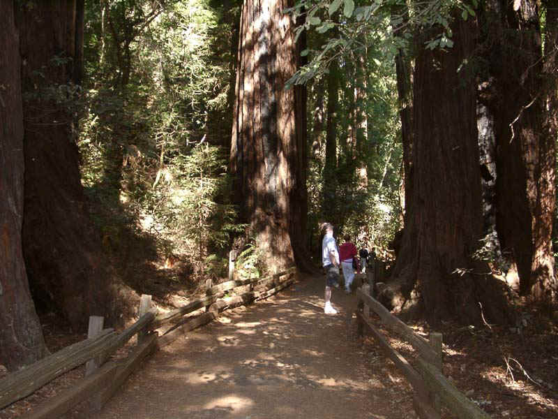 calif-sanfran-10280027.JPG (115951 bytes)