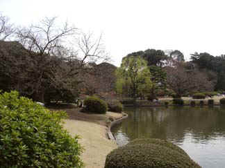 japan03-shinjuku03.jpg (27038 bytes)