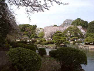japan03-shinjuku07.jpg (29086 bytes)