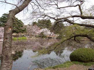 japan03-shinjuku11.jpg (39056 bytes)