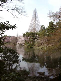 japan03-shinjuku14.jpg (22438 bytes)