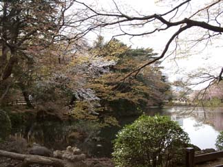 japan03-shinjuku15.jpg (29543 bytes)